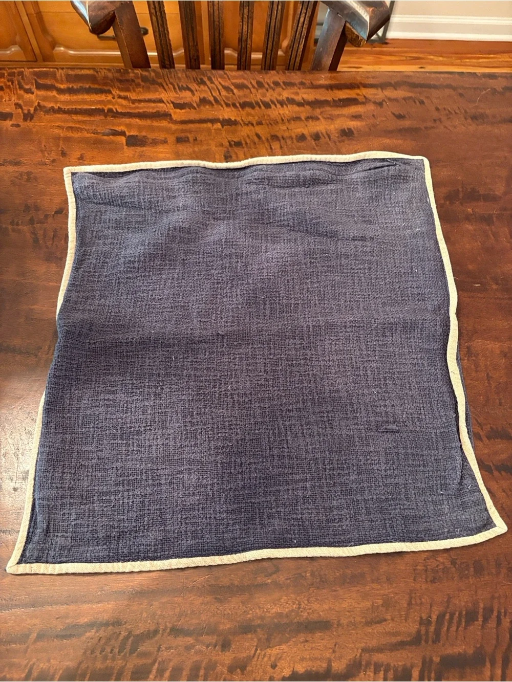 Pottery Barn Navy Accent Pillow Cover with Cream Border